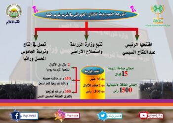 انفوجراف.. تعرف على المزرعة النموذجية للانتاج الحيواني بغرب غرب المنيا