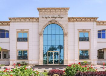 ميناء دمياط يستقبل 17156 طن ذرة خلال 24 ساعة