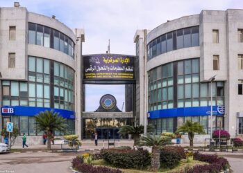 بينهم ذرة وصويا ورؤوس ماشية.. ميناء دمياط يستقبل 12 سفينة خلال 24 ساعة