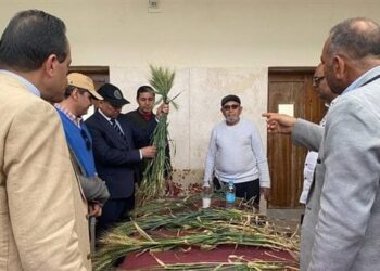 تدشين وحدة لتسمين الماشية بجامعة المنيا