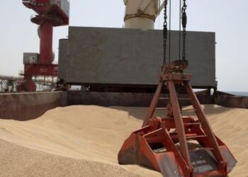 قلق دولي ودهشة إثر انسحاب مصر من اتفاقية الحبوب الأممية.. فما السبب!