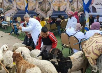 بيطري الشرقية: تنظيم قافلة طبية بيطرية شاملة بالمجان في قرية الغزالي بفاقوس
