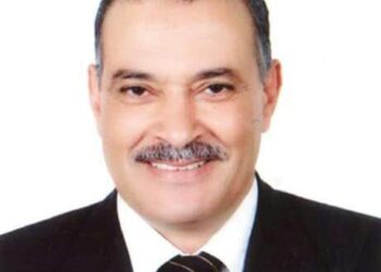 شعبة الدواجن: لابد من بورصة تحدد التكلفة الفعلية للمنتج