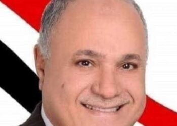 منتجي الدواجن لا علاقة لارتفاع سعر الدواجن بزيادة البنزين