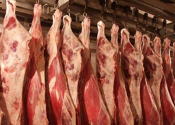ضبط 200 كيلو لحوم مذبوحة خارج المجازر وغير صالحة في المنوفية