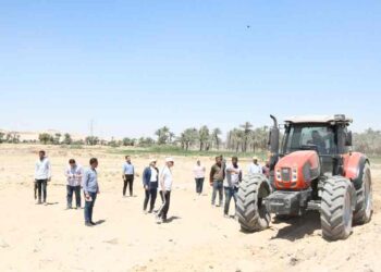 استصلاح وزراعة 50 فدان كعلف للدواجن بمنطقة مشروعات الأمن الغذائي في قنا