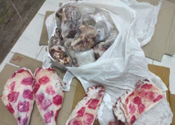 بيطري الغربية: ضبط 100 كيلو لحوم ودواجن ورنجة بالأسواق