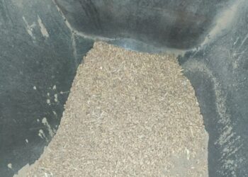 التحفظ على 6 أطنان قمح من داخل مصنع أعلاف في زفتى بالغربية
