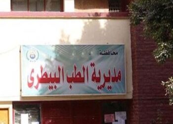 بيطري القاهرة تطرح مناقصة لشراء أدوات نظافة وفتح المظاريف اليوم