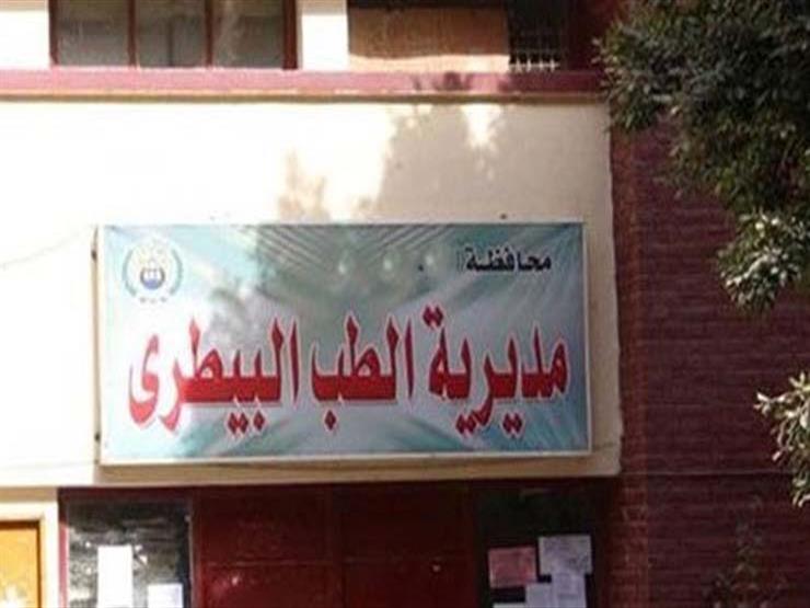 بيطري القاهرة تطرح مناقصة لشراء أدوات نظافة وفتح المظاريف اليوم