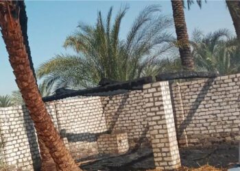 الحماية المدنية تسيطر على حريق نشب بحظيرة مواشي في قنا