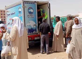 مستقبل وطن يطرح دواجن طازجة بـ100 جنيه في الوادي الجديد