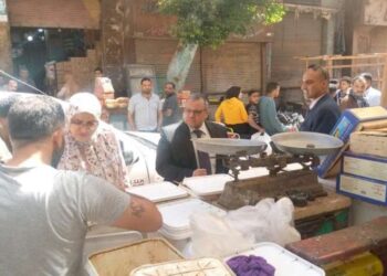 مصادرة أسماك مملحة فاسدة ولحوم مذبوحة خارج المجازر في المنيا