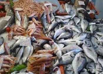 ضبط نحو 260 طن لحوم وأسماك غير صالحة للاستهلاك خلال الربع الأول من 2023