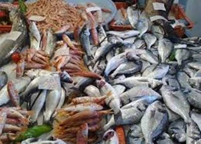 ضبط نحو 260 طن لحوم وأسماك غير صالحة للاستهلاك خلال الربع الأول من 2023