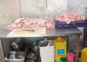 ضبط طن دواجن ولحوم مجهولة المصدر داخل مطعم شهير بباب الشعرية