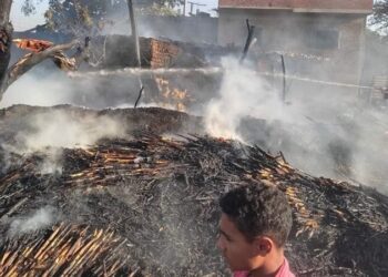 نفوق ماشية إثر حريق هائل اندلع بـ3 حظائر في المنيا