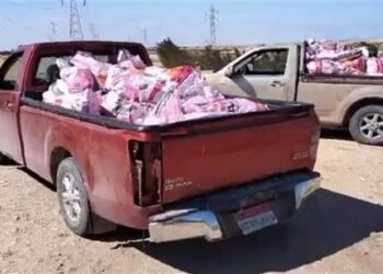 مصادرة 1200 كجم دواجن ميتة غير صالحة للاستهلاك في الجيزة قبل بيعها للمواطنين