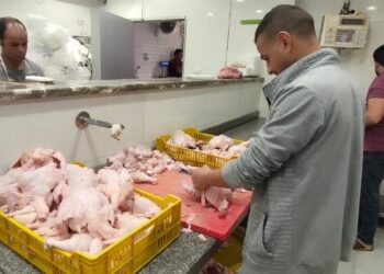 ضبط 2.5 طن لحوم ودواجن وأسماك خلال حملات في الجيزة