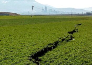 الفاو: تلف محاصيل ونفوق الحيوانات بسبب نقص الأعلاف جراء الزلزال في تركيا