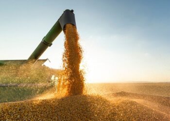قفزة ملحوظة في أسعار الصويا بمستهل تعاملات بورصة شيكاغو