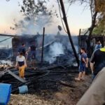 اندلاع حريق داخل حظيرة ماشية ونفوق إحداها بمنطقة البجوات في الوادي الجديد