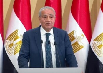 المصيلحي: لدينا 4 آلاف رأس ماشية على الحدود المصرية السودانية