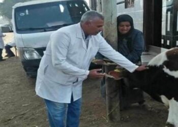 جامعة الزقازيق تطلق قافلة بيطرية بقرية المسلمية في الشرقية