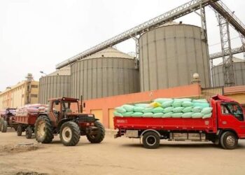 ضبط 135 طن قمح مهرب داخل مصنع علف بالدلنجات