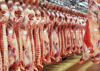 بـ195 جنيها للكيلو .. التموين تطرح لحوم سودانية بأسعار مخفضة في المنافذ