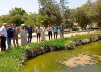 إلقاء كمية كبيرة من الزريعة في نهر النيل بمركز أخميم لزيادة التفريخ والإنتاج