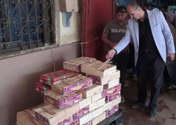 مصادرة طن أسماك مجهولة المصدر في بني سويف