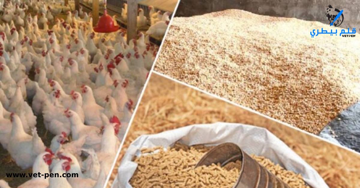 خاص| منتجي الدواجن: أكثر من 60% من اللحوم الحمراء مستوردة