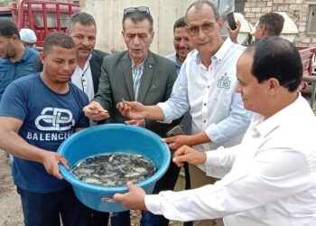 إلقاء 250 ألف زريعة سمكية من إصبعيات البلطى بالمنيا بهدف تنمية المصايد الطبيعية فى نهر النيل