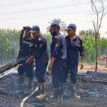 نفوق 6 مواشي إثر نشوب حريق هائل بحظيرة ماشية بديرمواس جنوب المنيا
