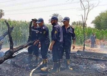 نفوق 6 مواشي إثر نشوب حريق هائل بحظيرة ماشية بديرمواس جنوب المنيا