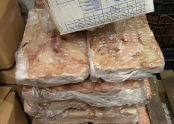 تؤدي للوفاة.. مصادرة 300 كيلو أسماك محظور تداولها بأسواق دمياط