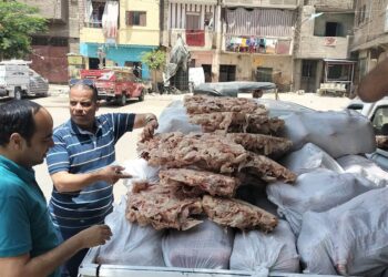 التحفظ على 1100 كيلو دواجن غير صالحة للاستهلاك الآدمي بالجيزة