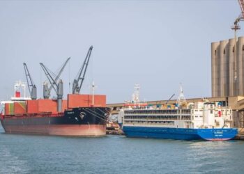 ميناء دمياط يستقبل 16473 طن ذرة و 3279 رأس ماشية