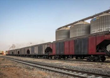 ميناء دمياط يستقبل 6000 طن كسب صويا و 11559 طن ذرة و 1280 رأس ماشية خلال 24 ساعة