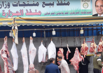 الزراعة: إنتاج مصر من اللحوم الحمراء يكفي بنسبة 60%.. وكيلو اللحم البلدي القائم في منافذنا بـ140 جنيهًا