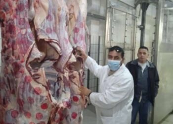 استعدادا لعيد الأضحى.. «بيطري الدقهلية» يعلن إلغاء الإجازة وتجهيز 24 مجزرا