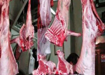 شعبة المواد الغذائية: استيراد كميات كبيرة من اللحوم استعدادا لعيد الأضحى.. والكيلو يبدأ من 160