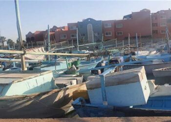 الثروة السمكية: وقف عمل مراكب الصيد بالبحر الأحمر في المنطقة الجنوبية بدءا من اليوم