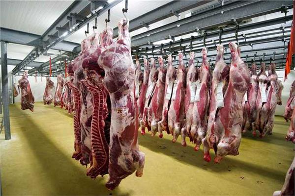 بيطري الجيزة: ذبح 8476 رأس ماشية بالمجازر وإصدار 15 تصريح نقل وتخزين جلود الأضاحى