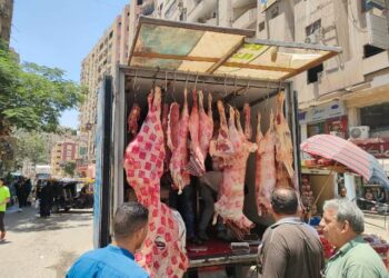 ضبط لحوم فاسدة خلال حملات بيطرية في الجيزة