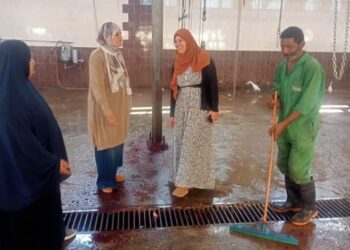 مجازر المنوفية تعلن انهاء استعداداتها لاستقبال الأضاحي طوال أيام العيد