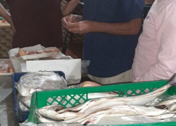 التحفظ على 4740 كيلو أسماك منتهية الصلاحية بجنوب سيناء
