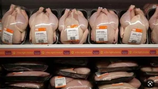 متحدث التموين: طرح 600 طن من أوراك وصدور الدواجن في المجمعات الاستهلاكية بأسعار تنافسية