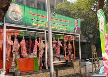 الزراعة: توفير السلع الأساسية بالمنافذ بأسعار مخفضة.. واللحوم البلدي 225 والضاني 250